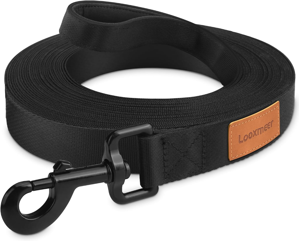 Longe de Dressage Looxmeer (10m)